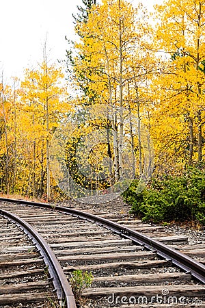 Autumn Train Tracks Stock Photo