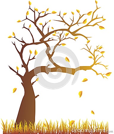 Autumn tree Vector Illustration