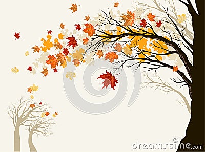 Autumn tree Vector Illustration