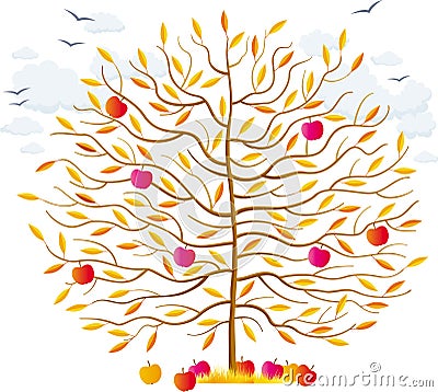 Autumn tree Vector Illustration