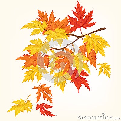 Autumn tree with beautiful flying leaves . Autumn card.Vector illustration. Vector Illustration