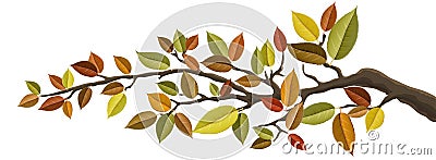 Tree branch with autumn leaf Vector Illustration