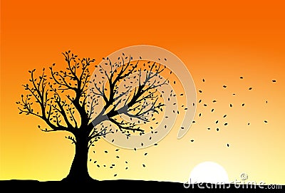 Autumn tree silhouette Vector Illustration