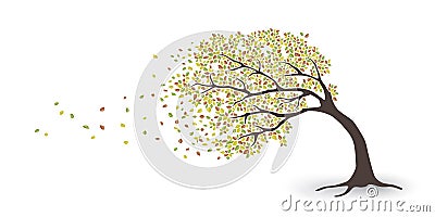 Autumn tree in the storm Vector Illustration