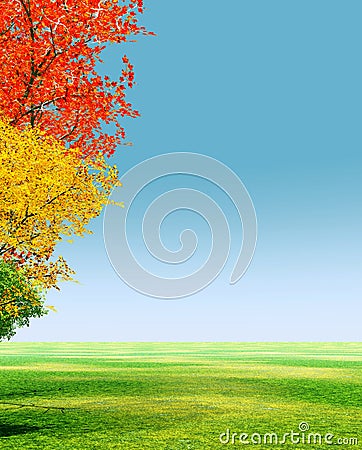 Autumn trees Cartoon Illustration