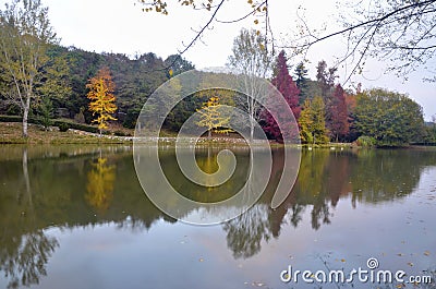 Autumn trees around lake. Fall trees reflected in lake. Stock Photo