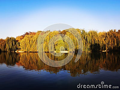 Autumn trees in beautiful colors and blue lake and sky Stock Photo