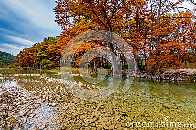 Autumn Trees on the Clear Gravely Frio River, Texas Stock Photo