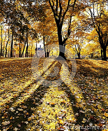 Autumn landscape with lonely house Stock Photo