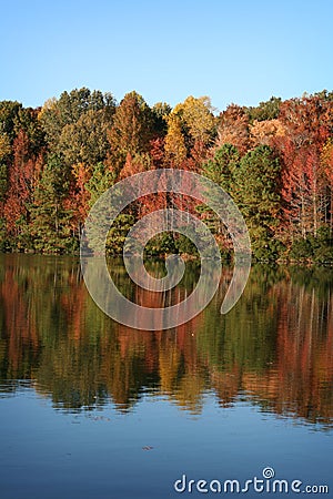 Autumn Trees reflected in blue lake in Fall Stock Photo