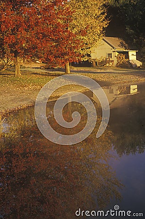 Autumn Trees Reflected in Water, Connecticut Stock Photo