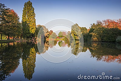 Autumn trees reflecting in a pont Stock Photo