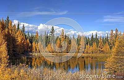 Autumn trees surrounding a pond Stock Photo