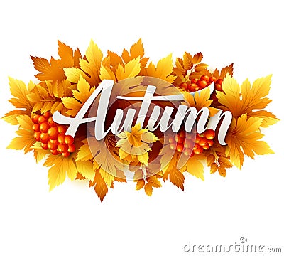 Autumn typographic. Fall leaf. Vector illustration Vector Illustration