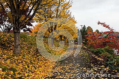 Autumn in urban area Stock Photo