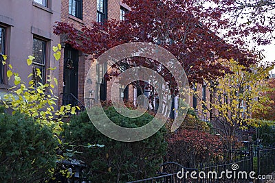 Autumn with various colors of trees on the yards of brownstones in the neighborhood of Brooklyn, NY. Beautiful fall with leaves Stock Photo
