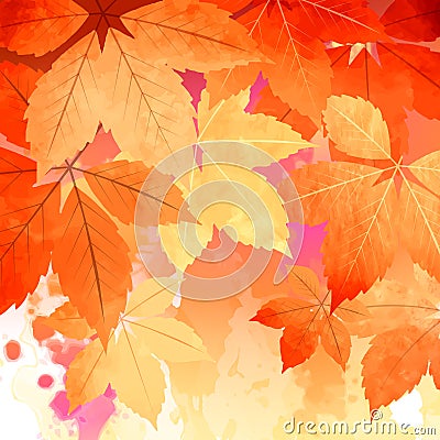 Autumn Vector Watercolor Fall Leaves Vector Illustration