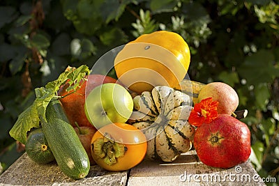 Autumn vegetable and fruits collection Stock Photo