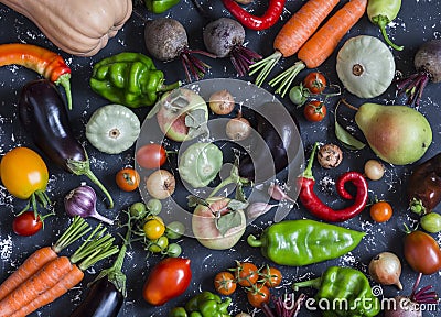 Autumn vegetable harvest. Assortment of vegetables - pumpkin, eggplant, peppers, carrots, tomatoes, onions, garlic, beets on a dar Stock Photo