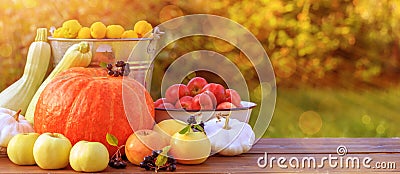 Autumn vegetables and fruits, harvest, orange pumpkin, apples, zidonia, zucchini, squash on a wooden table in garden. Stock Photo