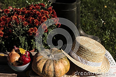 Autumn vegetables in the garden Stock Photo