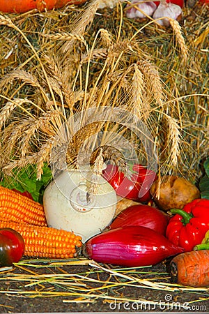 Autumn vegetables Stock Photo