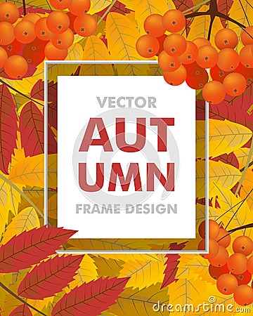 Autumn vertical background with rowan, berries and leaves. Frame Vector Illustration