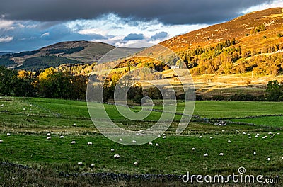 Autumn view of Glen Shee, Perthshire, Sotland. Stock Photo