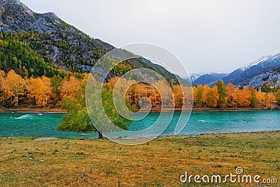 Autumn view of the mountain river Chuya in the Altai Stock Photo
