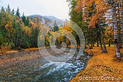 Autumn view of the mountain river Chuya in the Altai mountains Stock Photo