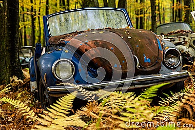 Vintage VW Beetle - Volkswagen Type I - Pennsylvania Junkyard Stock Photo