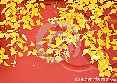 Autumn walk in Surgut Stock Photo
