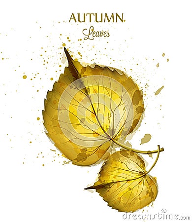 Autumn watercolor leaves Vector isolated on white background. Fall banner template. Golden colors Vector Illustration