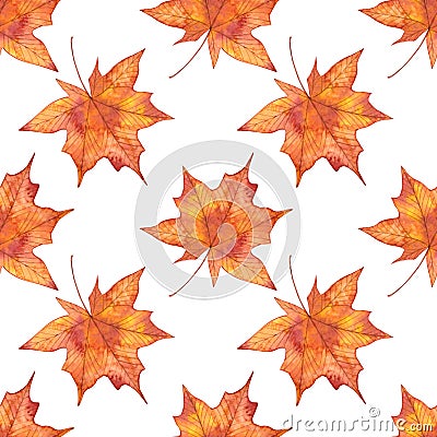 Autumn watercolor seamless pattern with maple leaves 1 Cartoon Illustration