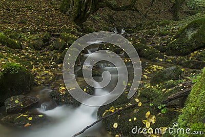 Autumn waterfall Stock Photo