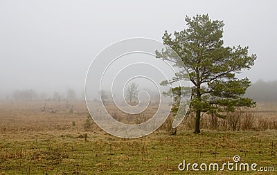 Autumn weather Stock Photo