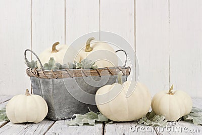 Autumn white pumpkins and decor on white wood Stock Photo