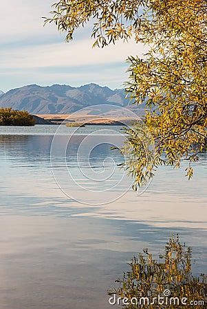 Autumn willow tree leaves reflecting on lake surface Stock Photo