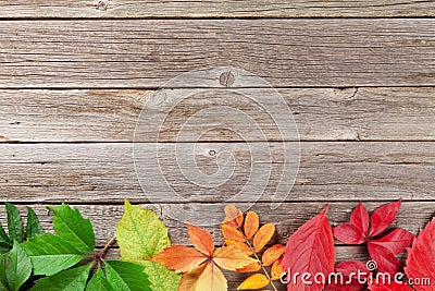 Autumn wooden background Stock Photo
