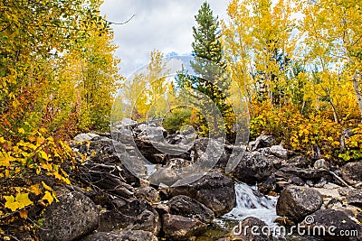 Autumn woods and creek Stock Photo