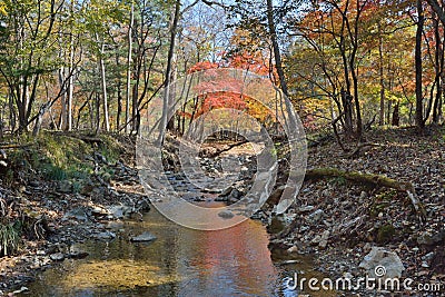 Autumn woodsy river 20 Stock Photo