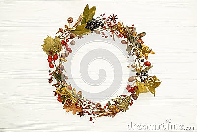 Autumn Wreath Flat Lay. Fall leaves in circle with berries,nuts, Stock Photo