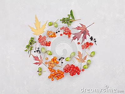 Autumn wreath from leaves, rowan, acorns, flowers and berry on gray background from above. Flat lay style. Stock Photo