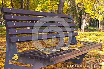 Autumn yellow leaves lie on a brown wooden park bench. Fall foliage in the city. October. Stock Photo