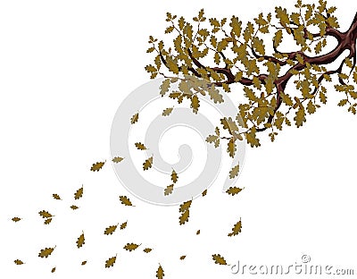 In autumn, a yellowed branch of a large oak tree with acorns. Flying leaves. Flyer, invitation card or business card Vector Illustration