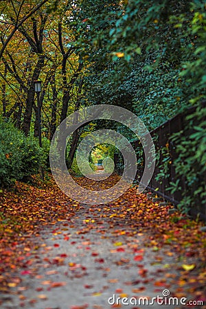 Autumnal alley Stock Photo