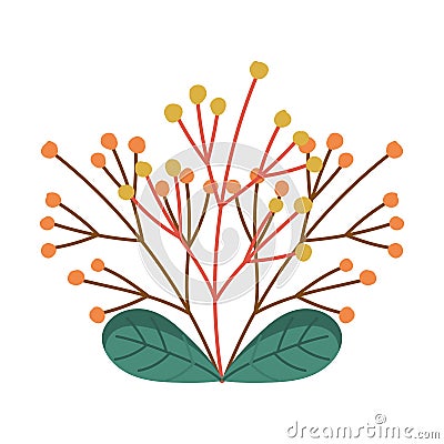 Autumnal branch leaves foliage isolated design white background Vector Illustration