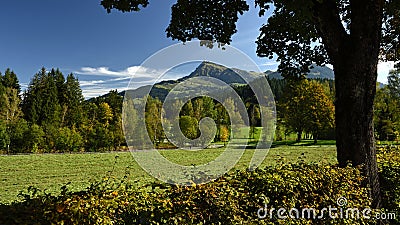 Kitzbuheler Horn, Tirol, Austria Stock Photo