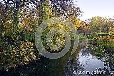 Autumnal Colours on the banks of the Avon River, Christchurch Stock Photo