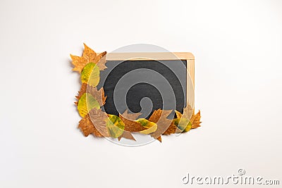 Autumnal composition with dry yellow and grey maple leafs, blank blackboard on white Stock Photo